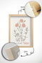 Wallity Artsycllct14 Conjunto de 6 Pinturas Decorativas Enmarcadas